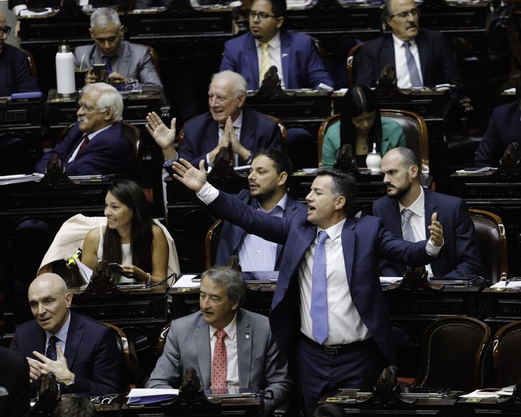 El Gobierno espera que Diputados apruebe el DNU del acuerdo con el FMI. Foto: Noticias Argentinas