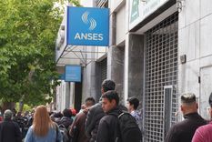 Anses aumenta la ayuda Foto: Rodrigo DAngelo / MDZ