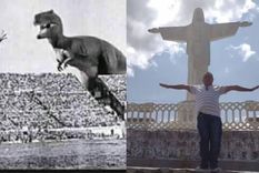 Los mejores memes por la eliminación de Racing de la Copa Libertadores. Los mejores memes por la eliminación de Racing de la Copa Libertadores.