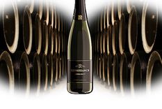 time warp: la pata mendocina de stinfale