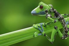 “La mayoría de la gente piensa que los robots están hechos de metales y cerámica, pero no se trata tanto de de qué está hecho un robot, sino de lo que hace, que actúa por sí solo en nombre de la gente