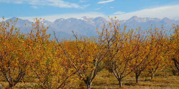 La cordillera, en Tupungato, donde nace el Las Tunas. Foto: Flickr