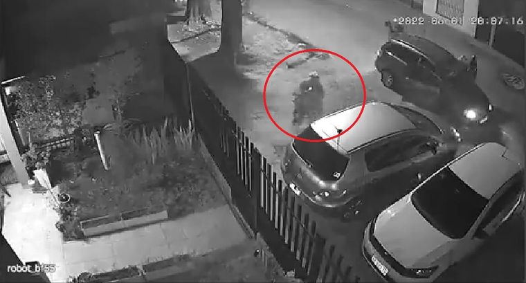 Las cámaras de seguridad captaron el momento