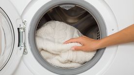 El consejo de los que saben. Fuente. Shutterstock.