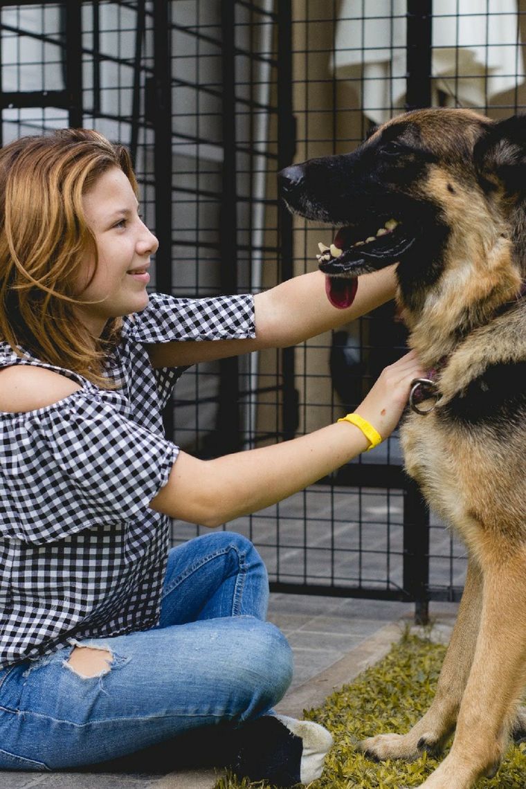 Las mascotas contribuyen a reducir la ansiedad y a brindarnos una sensación de felicidad única. Foto: @belabstract