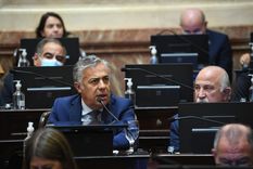 Foto: Twitter Senado Argentina