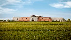 la batalla de monteviejo: la bodega cruzo la version del enologo y evalua mas reclamos