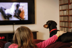 Esto es lo que llama la atención de la televisión a tus perros Foto: Pixabay