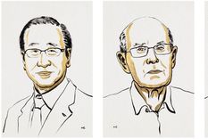 Susumu Kitagawa,  Richard Robson y Omar M. Yaghi.