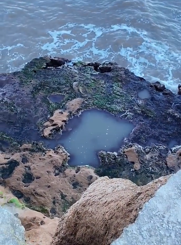 Barranca de los Lobos, Mar del Plata.