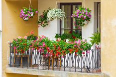 Cómo lograr un jardín en el balcón.&nbsp; Foto: Shutterstock
