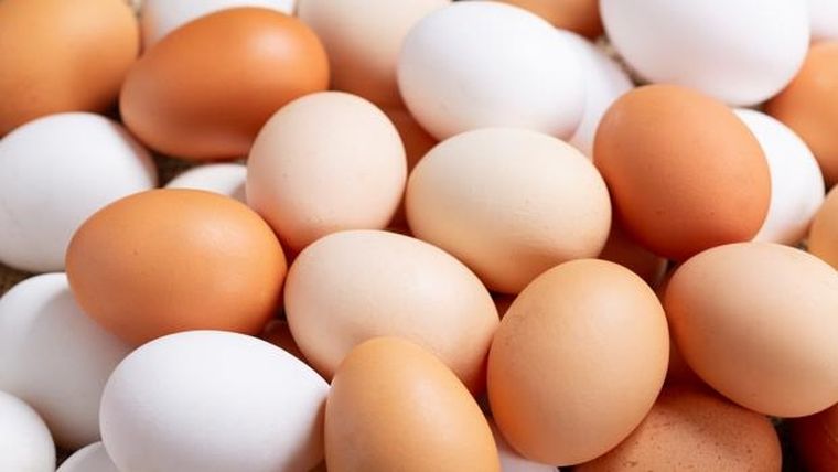 Los huevos están dentro de los alimentos que son claves para aumentar los músculos. Los huevos están dentro de los alimentos que son claves para aumentar los músculos.