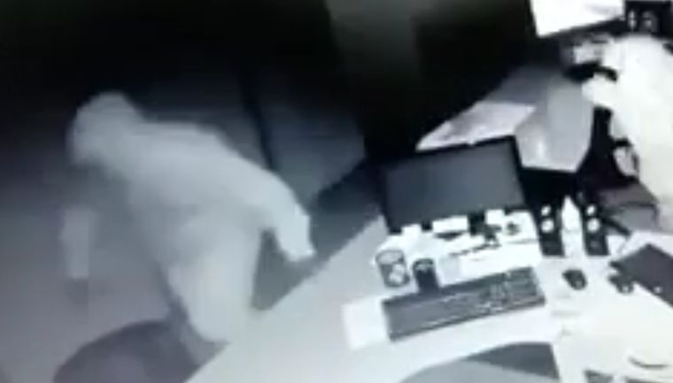 Hábiles Los cacos revisan un par de sitios y luego salen a toda velocidad.