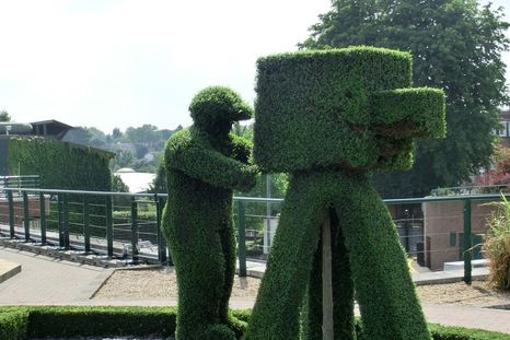 Un pavo ingenioso: Se disfrazó de planta para esquivar la cuarentena