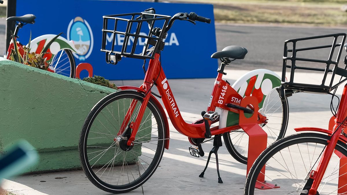 El servicio de Bicitrán será gratis durante toda la tarde de este viernes