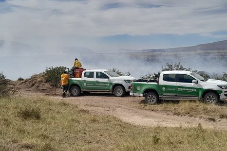 El incendio iniciado el sábado volvió a intensificarse por las ráfagas. Desde el manejo del fuego aclaran que está contenido y que no hubo daños rurales. El incendio iniciado el sábado volvió a intensificarse por las ráfagas. Desde el manejo del fuego aclaran que está contenido y que no hubo daños rurales.
