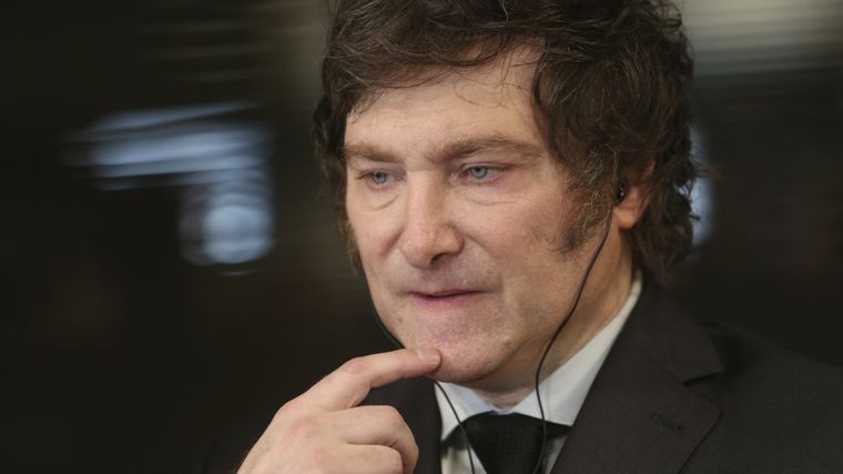 Javier Milei trabajó en la actividad privada y estuvo vinculado a un proyecto clave para Mendoza que luego fracasó. Foto: Noticias Argentinas