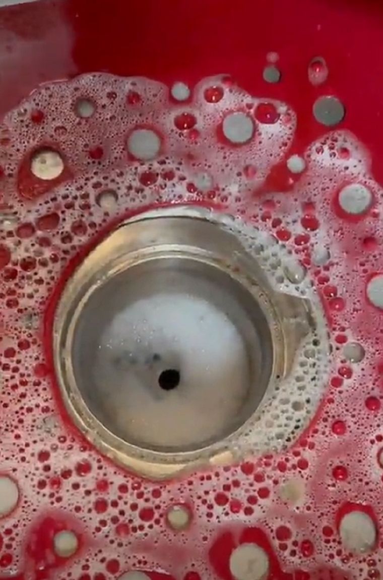 Video viral Foto: TikTok