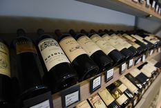 Grandes vinos para esta edición Foto: Maximiliano Ríos/MDZ