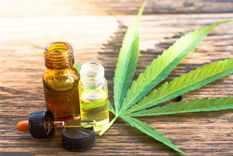 Cannabis medicinal. Foto: Shutterstock Cannabis medicinal. Foto: Shutterstock