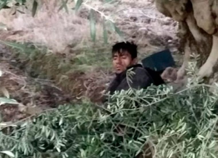 Así lo apresaron Reina flores estaba herido e intentó ocultarse entre unas ramas.