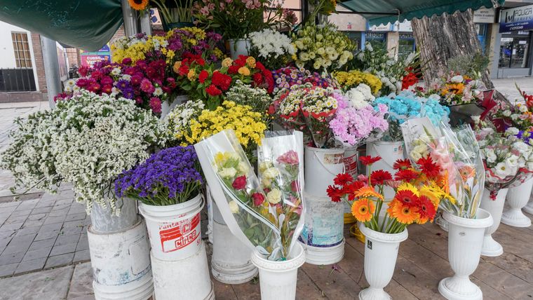 Los tallos cruzados permiten que el ramo mantenga una forma abierta y elegante en el florero. Los tallos cruzados permiten que el ramo mantenga una forma abierta y elegante en el florero.
