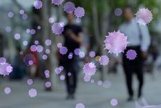 Los virus están por todos lados y no todos son malos. Foto: GETTY IMAGES