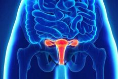 En el día mundial de la endometriosis exploraremos sobre qué es esta enfermedad, cuáles son los síntomas particulares, su relación e impacto en la fertilidad y la microbiota. Foto: Archivo MDZ