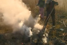 Los incendios se han originado en la zona de kilómetro 8, en Guaymallén Foto: Gentileza