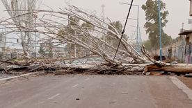 El pronóstico anticipa ráfagas que pueden superar los 100 km/h en el oeste y sur del país. &nbsp;