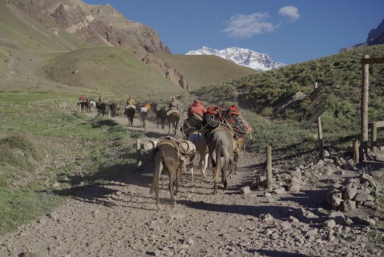 El Parque Aconcagua es uno de los montes más visitados de América Foto: Gentileza Gobierno de Mendoza