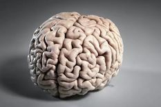 En muchos aspectos, el cerebro sigue siendo un enigma para la ciencia. Foto: GETTY IMAGES