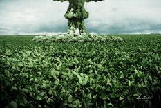 los pibes para la sojizacion