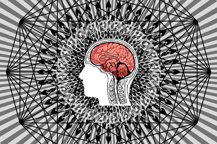 Solo el 5% de las personas encontró la solución de este test visual Test visual Foto: Canva