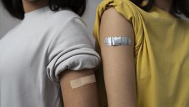 Vacunas clave en la vuelta a clases. Vacunas clave en la vuelta a clases.