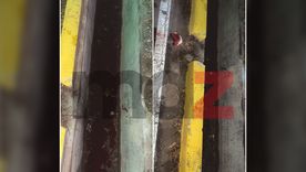 La sangrienta escena del ataque que sufrió Carlos Jacovich, el hombre que murió luego de ser apedreado en Godoy Cruz. La sangrienta escena del ataque que sufrió Carlos Jacovich, el hombre que murió luego de ser apedreado en Godoy Cruz.