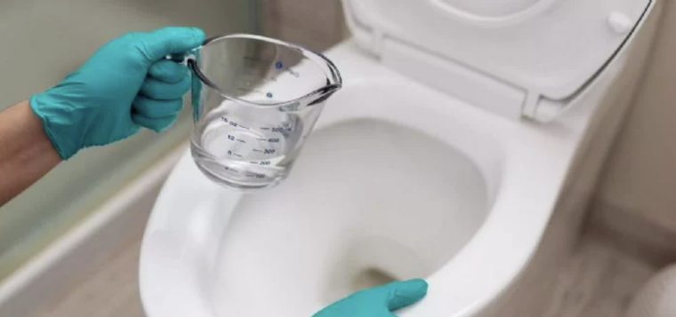 Con sólo limón, sal y vinagre prepara productos caseros de limpieza para tu hogar Foto: Shutterstock