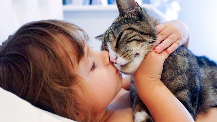 MASCOTAS Los gatos pueden molestarse si les mostramos afecto cuando ellos no lo desean Foto: ARCHIVO