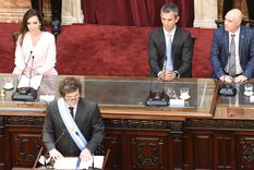 El Gobierno quiere rearmar una nueva relación con el Congreso. Foto: Juan Mateo Aberastain/MDZ