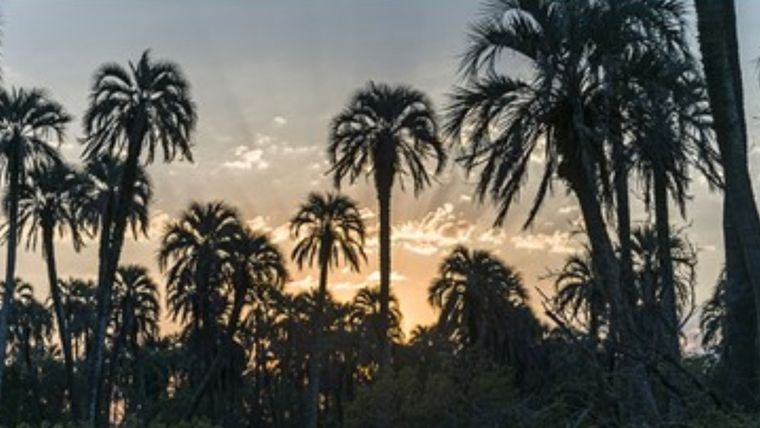 Parque Nacional El Palmar Foto: DV