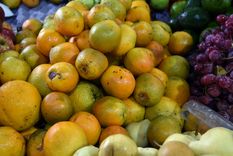 Foto: ALF PONCE MERCADO / MDZ Foto: ALF PONCE MERCADO / MDZ