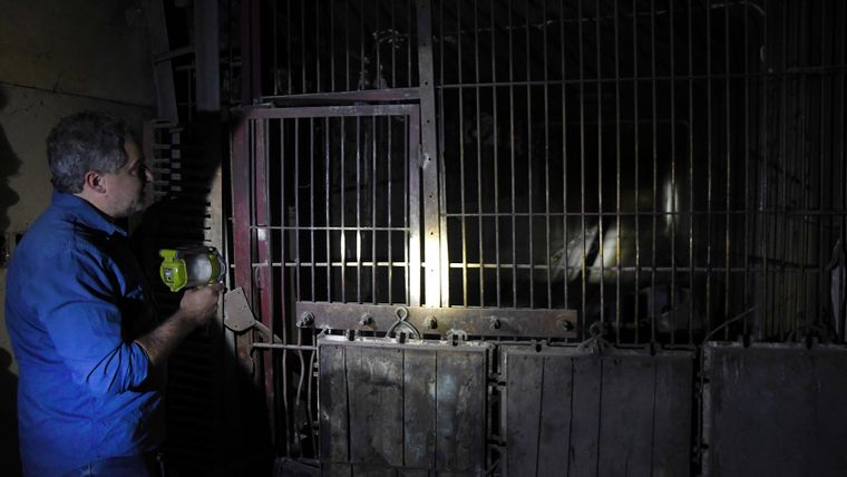 La bodega Arizu, en el corazón de Mendoza.