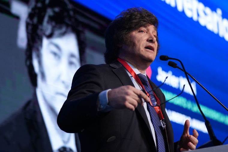 Se espera una amplia continuidad de las reformas fiscales y económicas aprobadas desde que asumió Milei Foto: Archivo