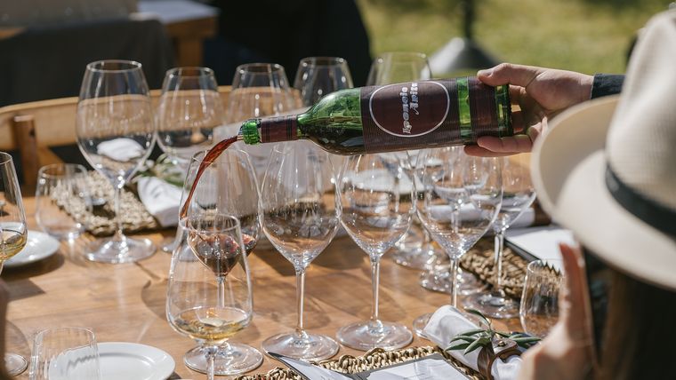 Se degustó un Cabernet Sauvignon del año 1977: impecable. Se degustó un Cabernet Sauvignon del año 1977: impecable.