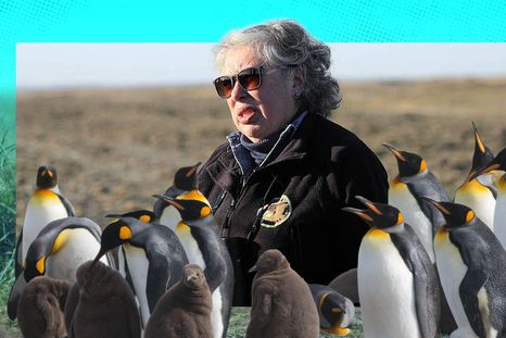 La lucha de Durán Gafo permitió que los pingüinos encontraran un espacio seguro y establecieran una colonia única en Tierra del Fuego. La lucha de Durán Gafo permitió que los pingüinos encontraran un espacio seguro y establecieran una colonia única en Tierra del Fuego.