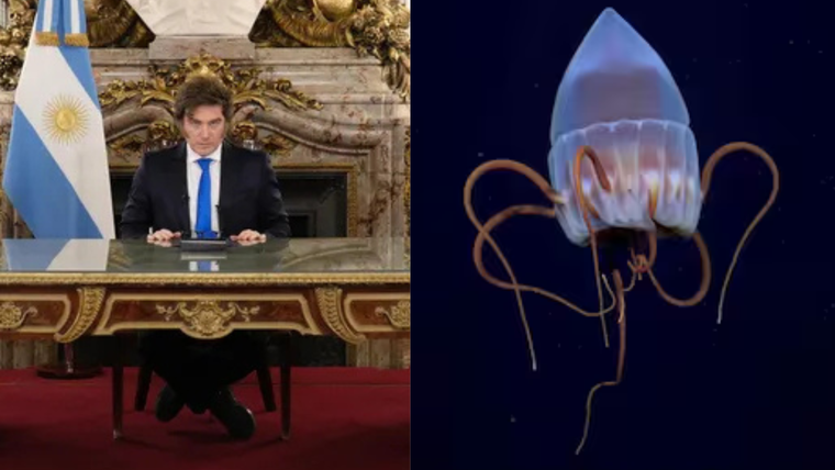 La canedena nacional de Javier Milei vs. el streamind del Conicet