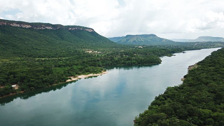 El descubrimiento ocurrió en el río Tocantins. Foto: Shutterstock