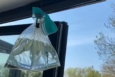 Video viral Foto: TikTok