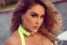 Ninel Conde lleva unos leggins entallados al cuerpo y recibe una lluvia de corazones Ninel Conde Foto: Instagram @ninelconde