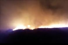 El incendio en Llancanelo.